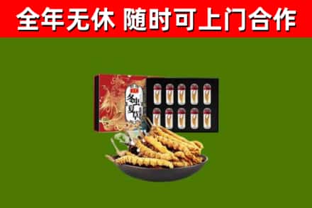 大通县回收冬虫夏草价格