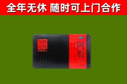大通县回收阿胶