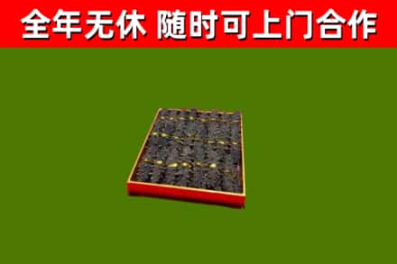 大通县回收海参